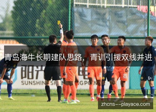 青岛海牛长期建队思路,青训引援双线并进 青岛海牛长期建队思路,青训引援双线并进